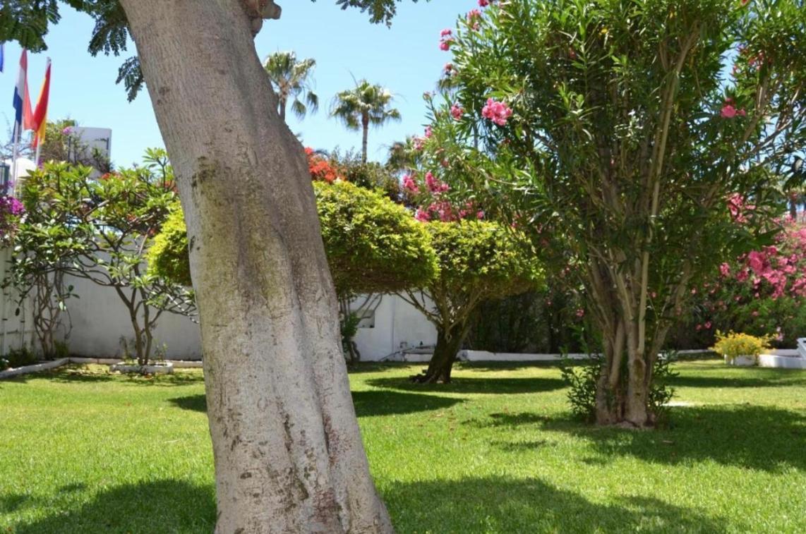شقة Ocean Blue 405 San Bartolomé المظهر الخارجي الصورة